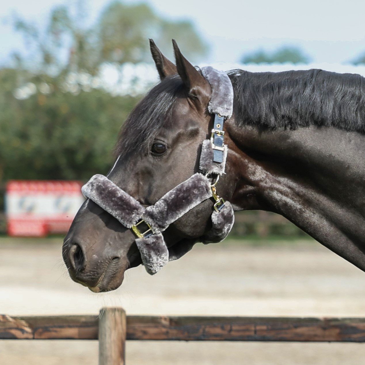 Show-Line Full Fur Halter Cob Na