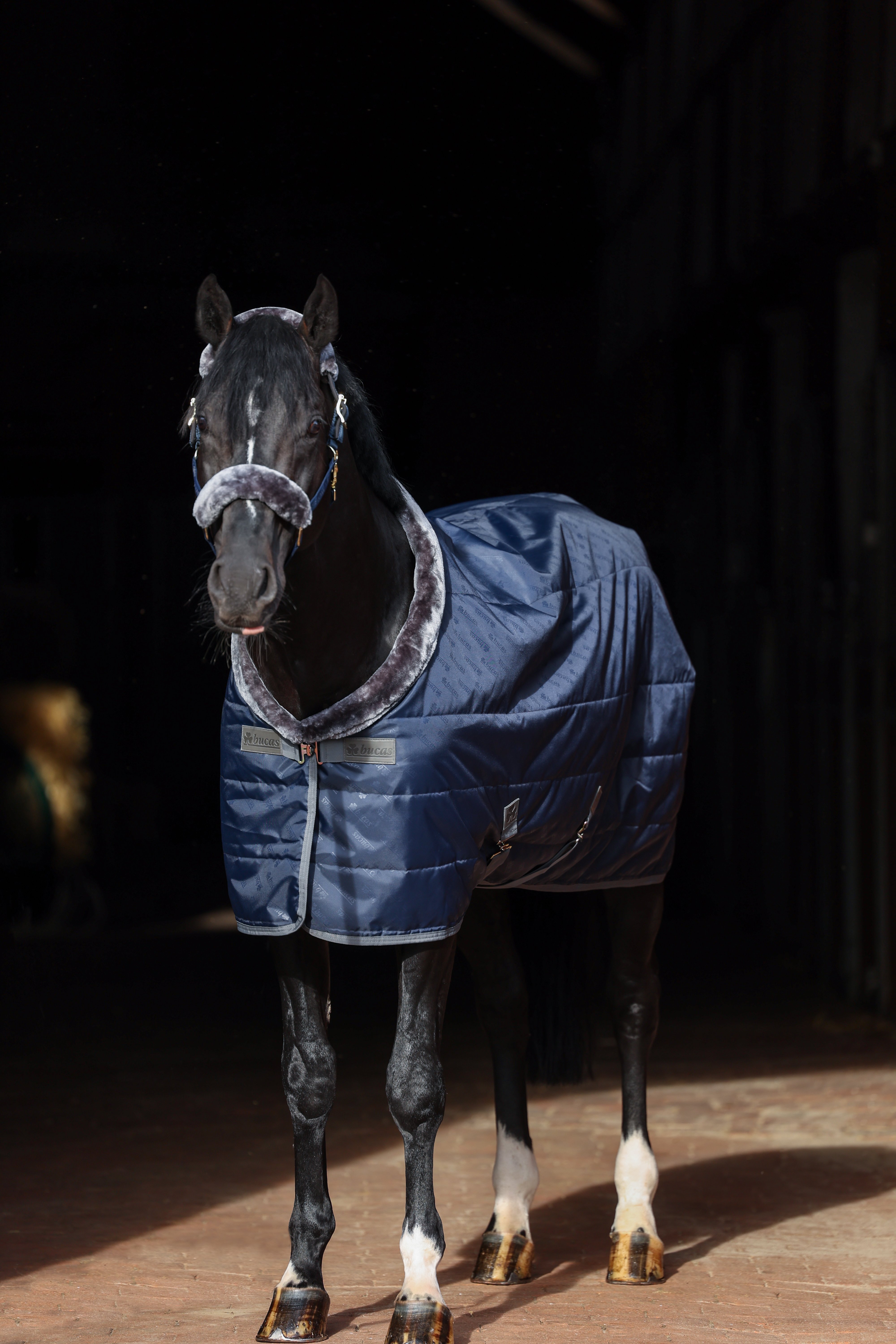 Show-Line Stable Rug 150 SF 140 
